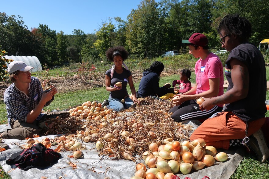 onions_food_agriculture_farming.jpg