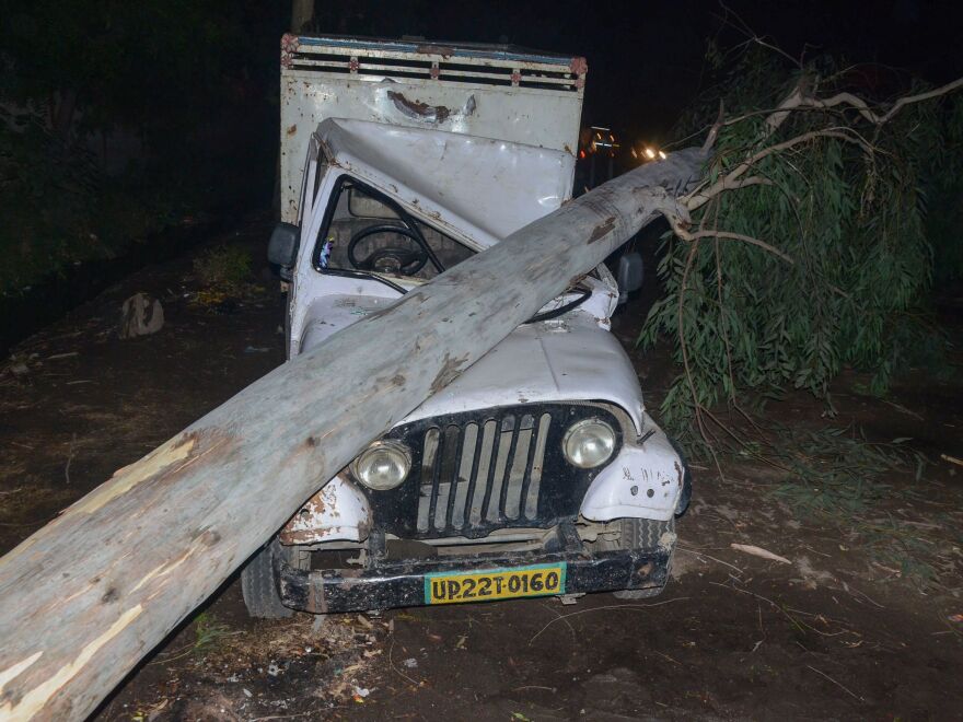 A photograph taken Wednesday showing a tree that fell in high winds during a storm in Bareilly in India's northern Uttar Pradesh state.