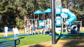 Students from nearby Canopy Oaks Elementary School fulfilled the day's physical activity requirement by giving the new playground equipment at Jackson View Park a thorough workout.