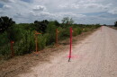 Survey stakes mark the proposed location of the border wall at the Santa Ana National Wildlife Refuge near Alamo on July 8, 2026.