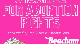 Photo: Rep. Anna Eskamani 