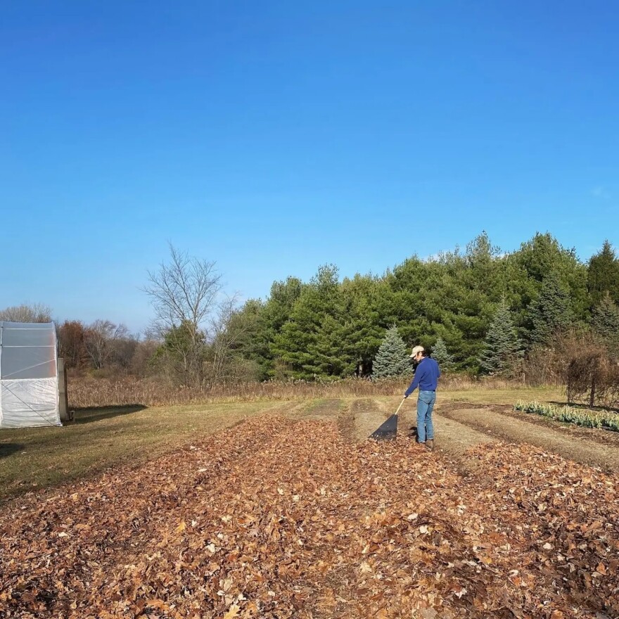 Joshua Snedden is a first-generation farmer who said he will continue whether or not he gets the federal funding for solar. (Courtesy: Joshua Snedden)