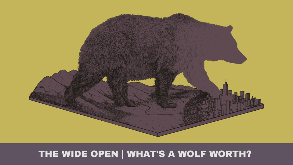 What's a wolf worth - Extra