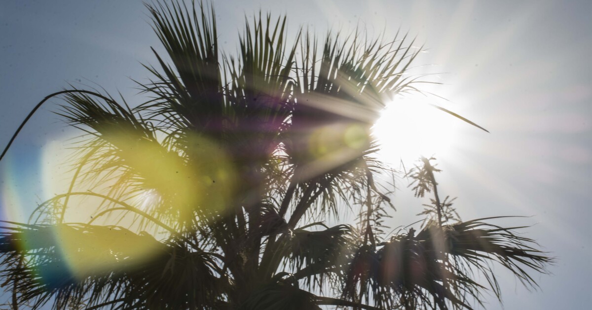 Phoenix Extreme Heat Warning: Forecast Through the Weekend