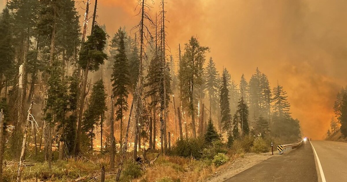 The year in climate disasters