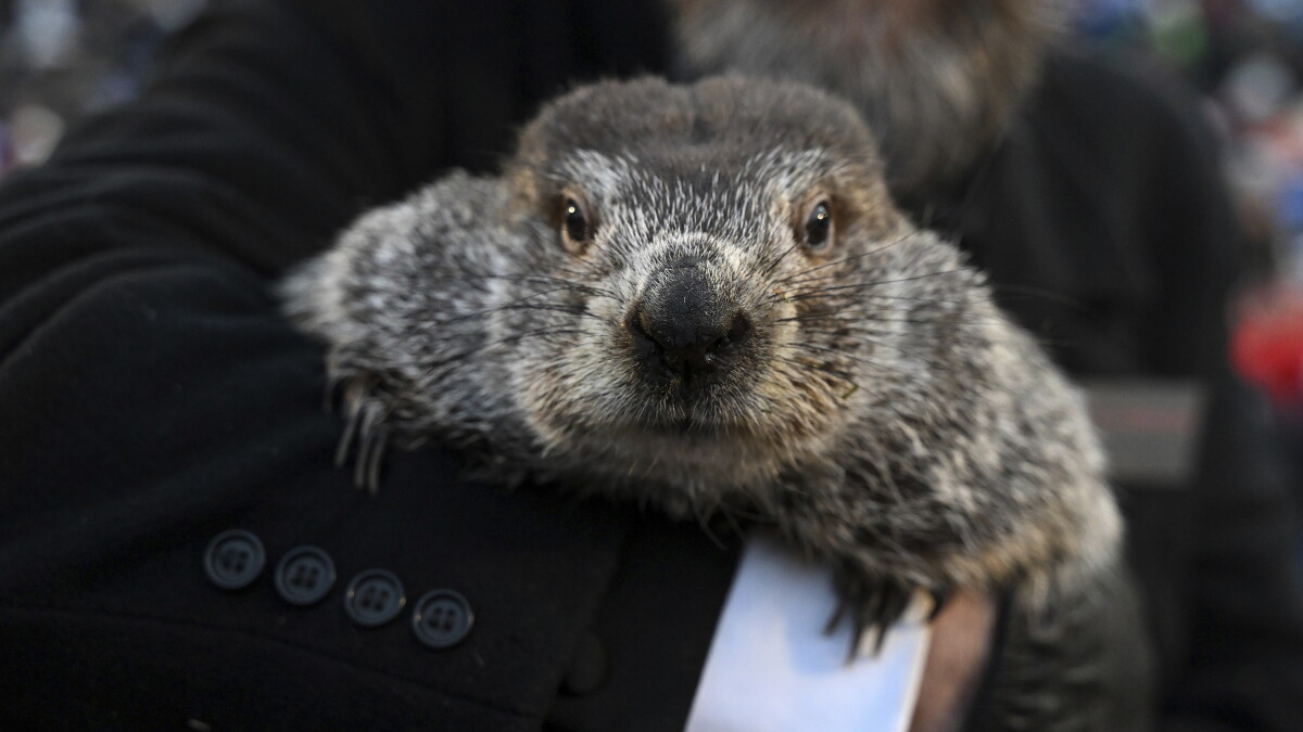 'Me and My Shadow,' Song of the Day for Groundhog Day (Feb. 2) - Vimarsana News