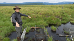 Professor Ted Schuur, a geography professor at Northern Arizona University, stands by the central-Alaska plot of tundra that he’s been heating for the last 13 years. The several feet of permafrost has melted, collapsing the soil, creating a pond. Some of his clear plastic boxes, used for measuring carbon dioxide emitted from underground, are visible in the foreground. (Daniel Grossman)