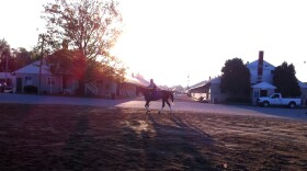 An estimated 70 percent of the horse industry's behind-the-scenes workers are migrant workers.