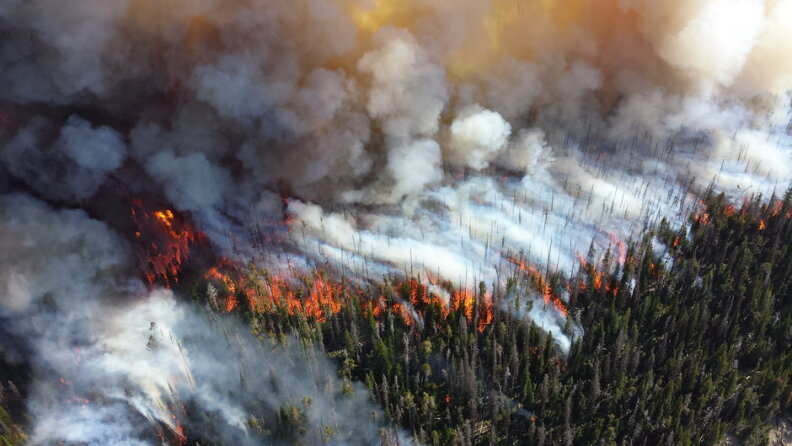 A fire burns in a forest full of green trees with white and grey smoking filling the top left of the photo. 