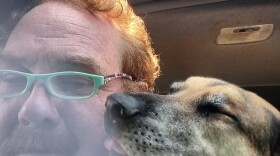A man and a dog in a car.