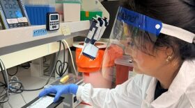 New Mexico Scientific Laboratory Division staff conduct tests for sexually transmitted infections, which saw a marked decline between 2024 and 2025.