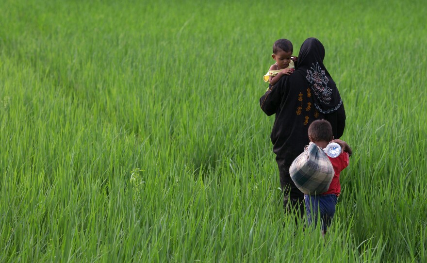 A Rohingya mother carries one child and leads another through the fields of Whaikhyang, Bangladesh, on Sunday.