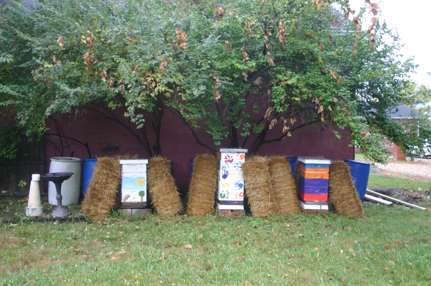 The apiary at SOUP's farm on McCain Avenue in Springfield