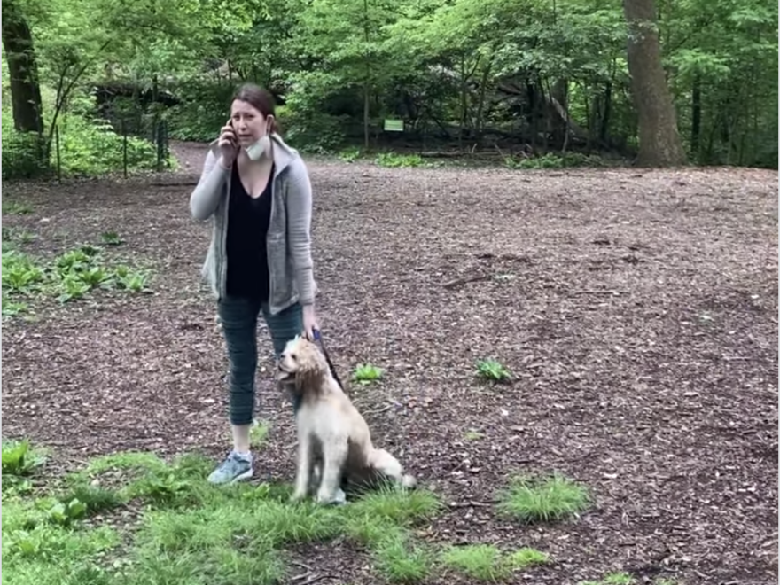 Video of Amy Cooper calling the police Monday on a man has gone viral on social media. The man says he asked Cooper to put her dog on a leash in New York's Central Park.