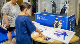 Marilyn Adorno (L-R) and her son Mythias, 7, appreciate artwork by Green Red, an African penguin from the Mystic Aquarium. Green Red had staff apply nontoxic paint to his feet before allowing him wander across a canvas. The work was presented by Mystic staff to Middlesex Health's Mayer Center in Essex, which treats children like Mythias, who have autism.