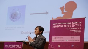 Tetsuya Ishii of Hokkaido University speaks during the Human Genome Editing Conference in Hong Kong, Wednesday, Nov. 28, 2018.