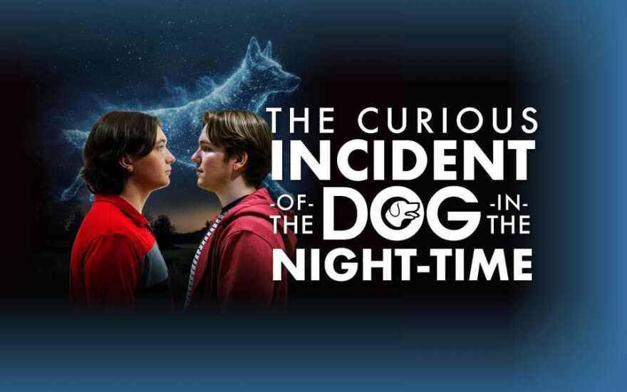 The Naples Players' Graphic for 'The Curious Incident of the Dog in the Night-Time'