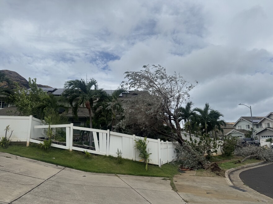 Trees along a Waiʻanae street uprooted and fell onto the neighboring houses during Hurricane Lala on Aug. 16.