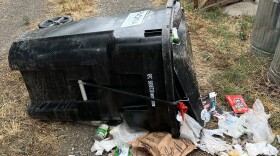 Almost bear proof. The lid remained on thanks to the strap, unfortunately, some trash was dispersed. 