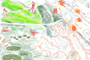 'Constructing a tree museum': NC program rehabilitates man-made lakes with the help of volunteers episode artwork