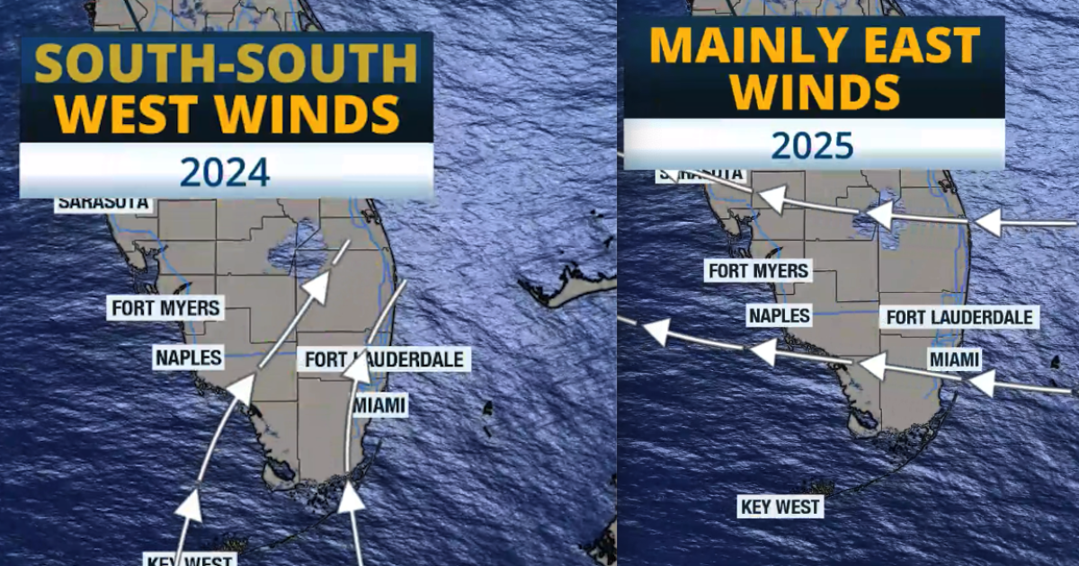 South Florida: It's tale of two different summers.. so far