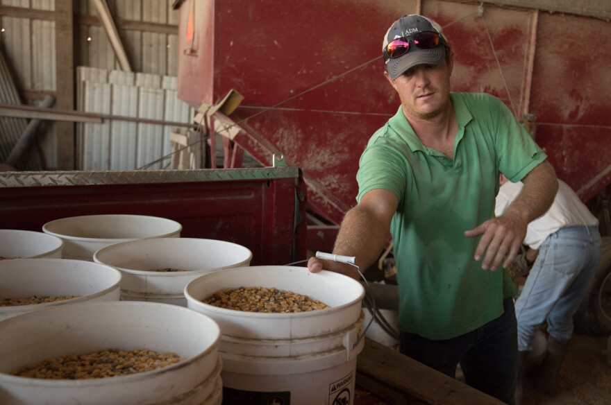 Logan Chrislaw loads the bed of a truck with feed buckets as his father, Charlie Chrislaw, fills the buckets on Monday, September 3, 2018 at their family farm in Howard County, Mo. The recent drought in Missouri has caused the Chrislaw's to rely on feed m