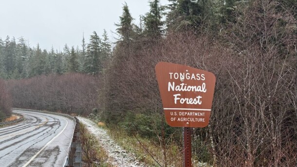 The Tongass National Forest