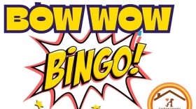 Advertisement for Bow Wow Bingo with Carlton County Animal Rescue