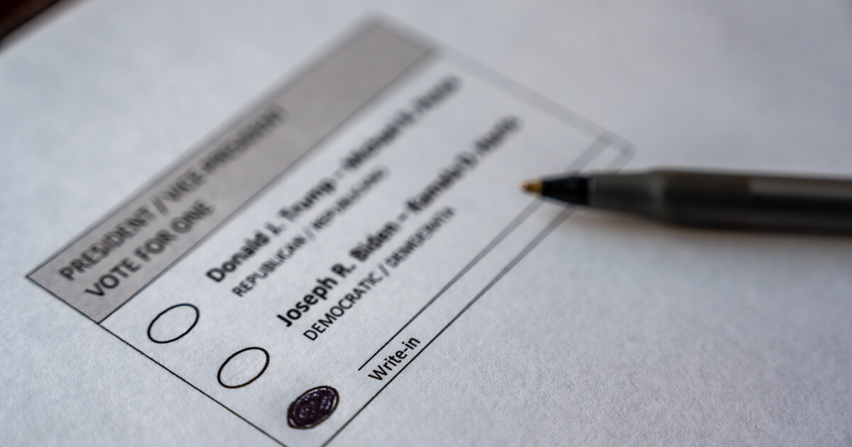 An example of what write-in sections look like on ballots. In Isle of Wight, a special board election will only give voters the option to write in candidates.