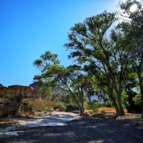 The Native American culture known as La Junta flourished for more than five centuries at the confluence of the Rio Grande and Rio Conchos, at present-day Presidio-Ojinaga. But La Junta communities were also found well away from the river, including at the oasis of Cuevas Amarillas in Big Bend Ranch State Park, pictured above.