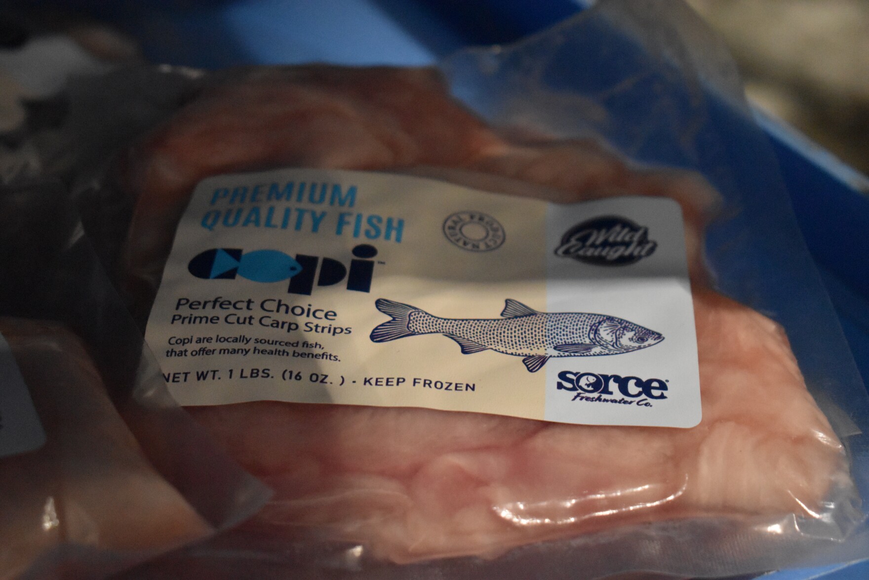 a-successful-copi-rebrand-of-invasive-asian-carp-promises-economic