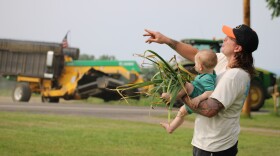 Ryan Dudek and his son, Marian, harvest garlic from the front yard of their home in King Ferry.