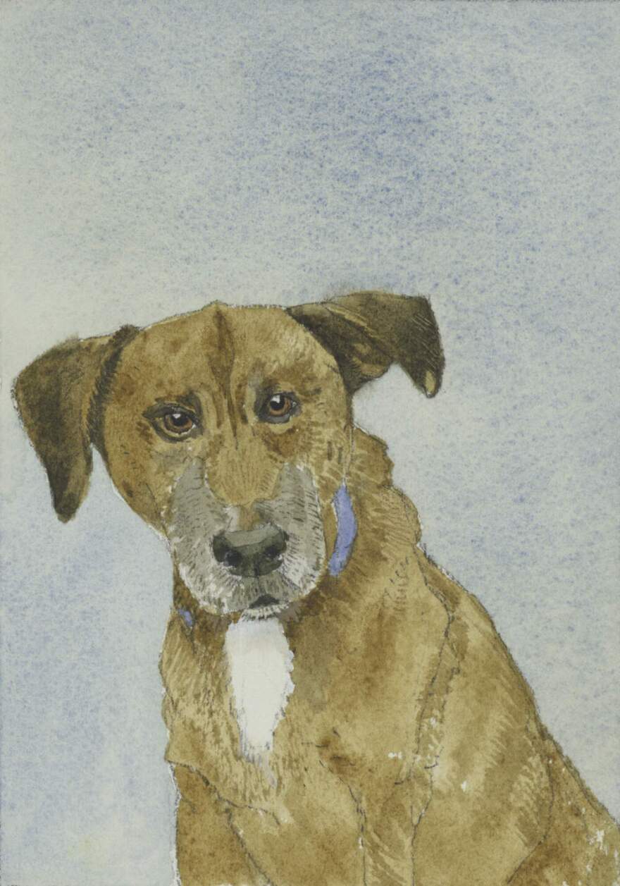 Courtesy of Pamela Sztybel.