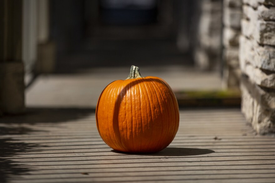 Growers in Texas say they are much fewer pumpkins this year because of the drought.