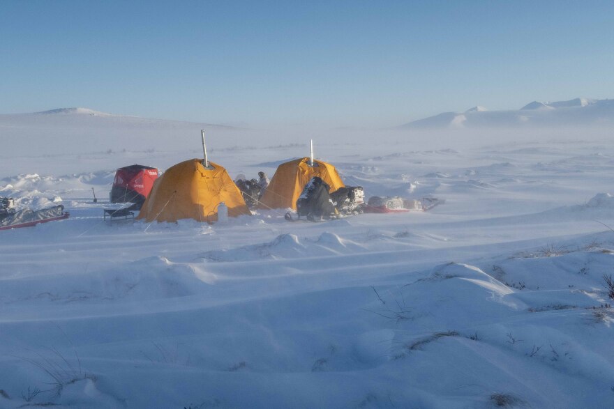 The research team camped near the Kuzitrin River and the Kougarok Road.