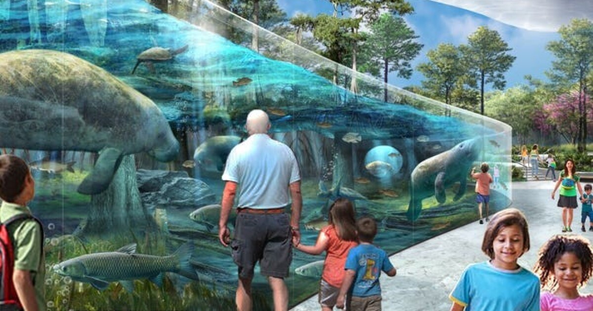 Jacksonville Zoo Looks To Add New Manatee Lion Exhibits In 50 Million Zoo Redesign Wjct News