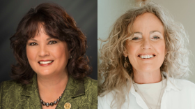 Indiana House District 60 candidates from left to right: Incumbent Republican Peggy Mayfield and Democrat Carrie Syczylo.
