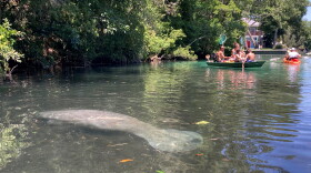  Manatee and boaters