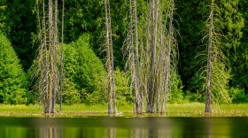 Howard Lake, north of Stehekin in Washington's North Cascades.