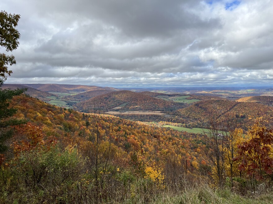 Miller Mountain's Vista in Wyoming County.