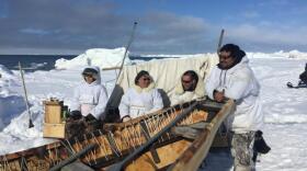 Gordon Brower, second from left, has been whaling since he was a kid in the late 1960s. Iñupiat whalers still use many of the same tools in their spring hunt, including the sealskin boat, or umiak, pictured here on April 21, 2019. (Photo by Ravenna Koenig/Alaska’s Energy Desk)