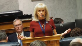 Sen. Liz Brown, R-Fort Wayne, speaks during an Indiana Senate session on Feb. 24, 2026.