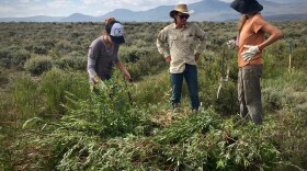 Using rocks, wooden posts and willow branches, volunteers work to restore a wetland habitat near Gunnison, Colorado. Fighting years of erosion, they create a healthy ecosystem for the plant and animal species that call riparian areas home. 