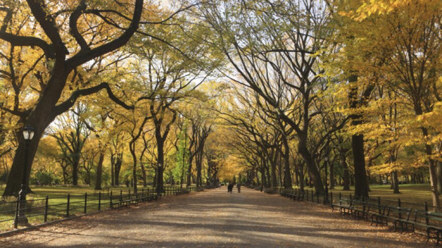 AutumnPhoto.jpg
