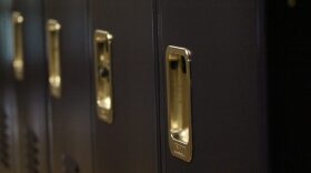 Of about 1,500 schools assigned grades on the annual report card, 493 saw a decrease in their overall letter grades. Only 234 schools saw an increase in performance, while a vast majority had no change.