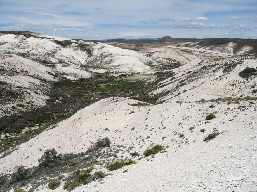 The Laguna del Hunco fossil site in Chubut, Patagonian Argentina. Workers here are collecting abundant and diverse plant fossils.