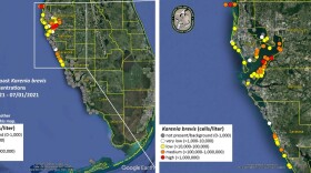 red tide map