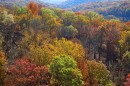 overlook of a colorful forest in the fall