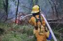 A Lebanon Fire District firefighter on the scene of a fire in a wooded area along the South Santiam River on July 13, 2026.