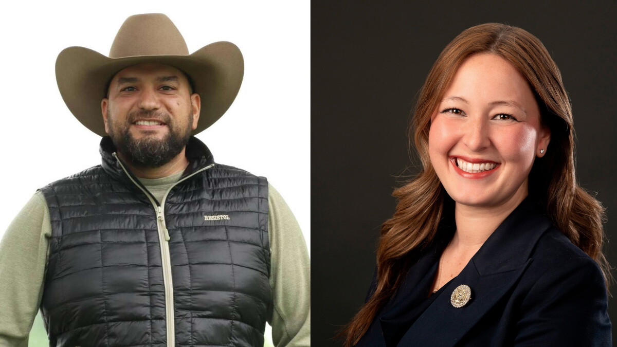 School vouchers and THC divide a Texas House race in Williamson County